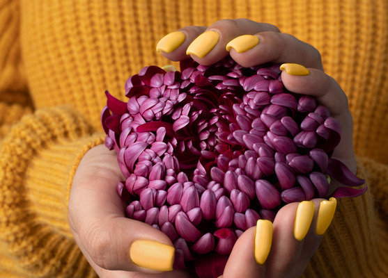 Gel Polish for Nails Play salon nail bar